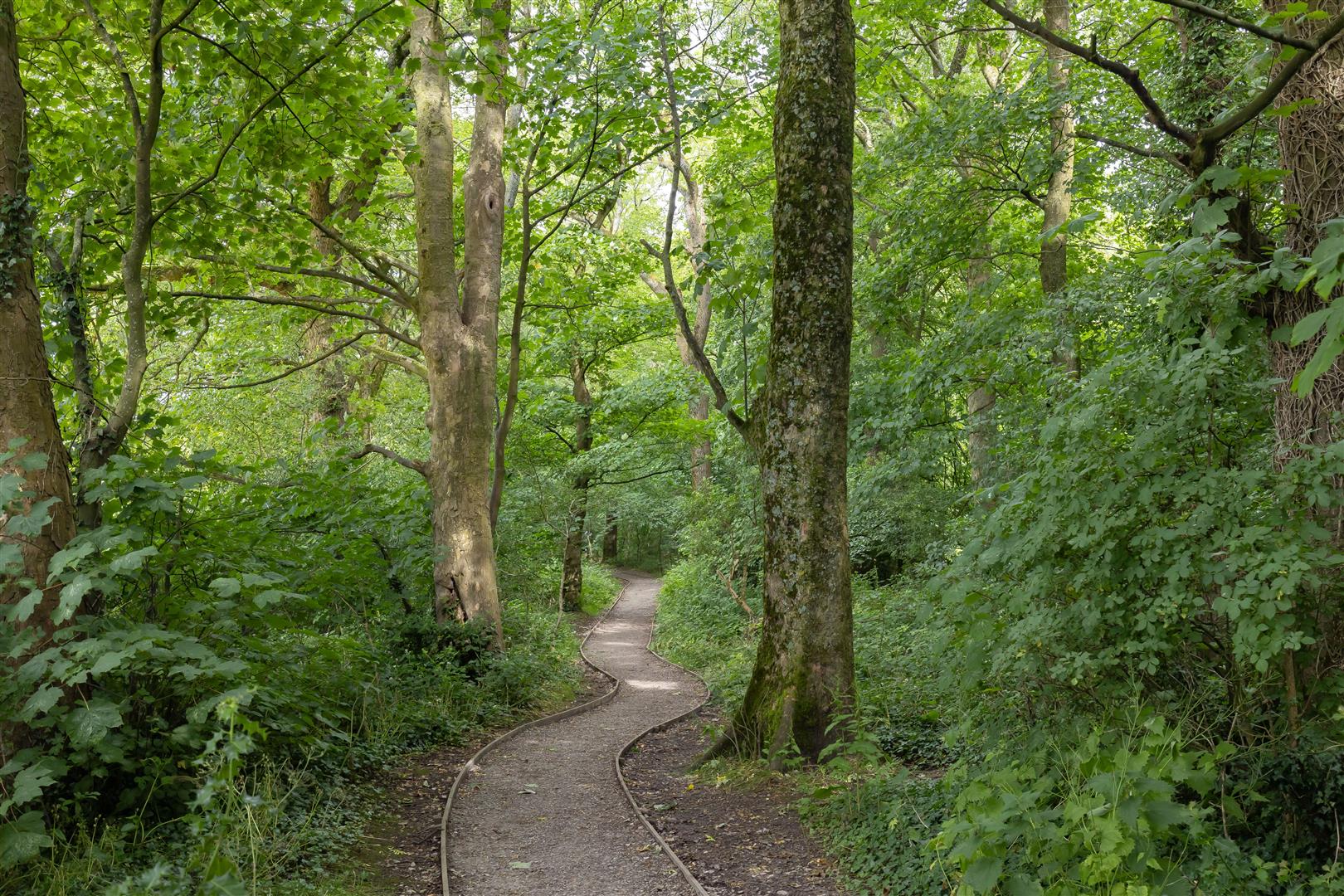 Parke Mews, Withnell Fold, Chorley